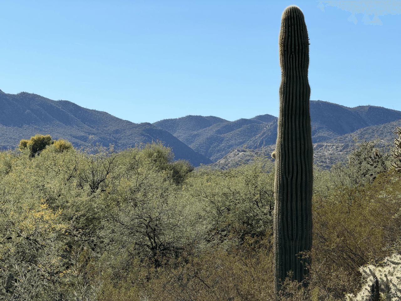 Aravaipa RV Park - Image 5